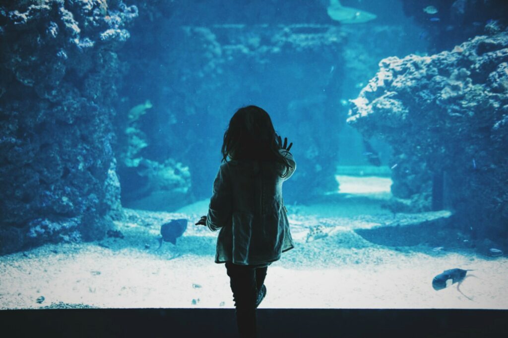 enfant devant un aquarium