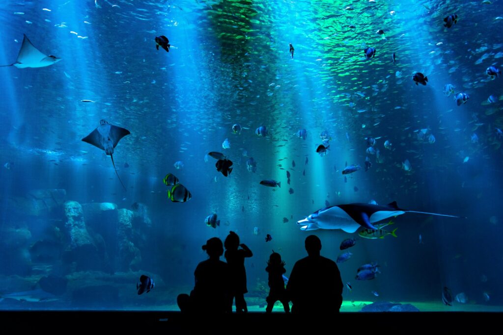 grand aquarium géant